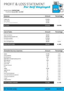profit and loss statement template