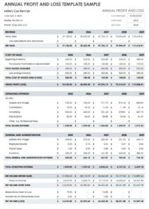 profit and loss statement template