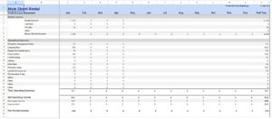 Profit and Loss Statement for your rental property