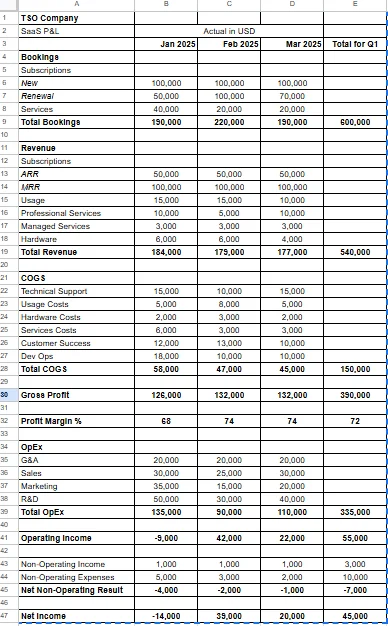 A financial spreadsheet for TSO Company showing bookings, revenue, costs, profits, and net income for Q1 2025 in USD.
